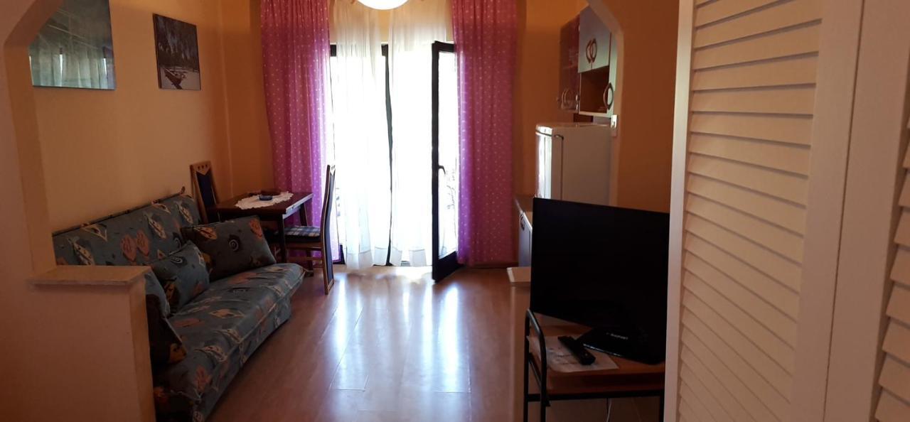 Apartments Vila Ida Vantacici Εξωτερικό φωτογραφία