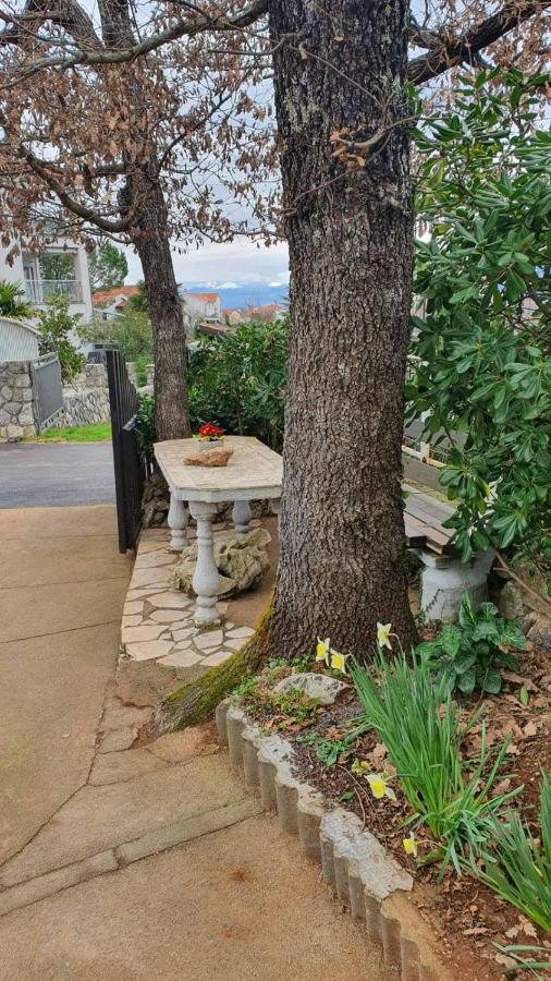Apartments Vila Ida Vantacici Εξωτερικό φωτογραφία